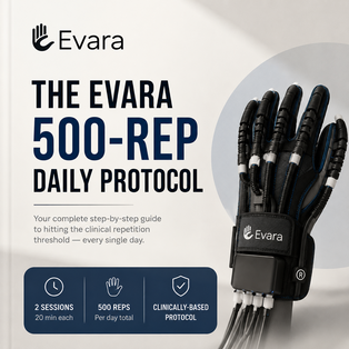 500-Rep Daily Protocol